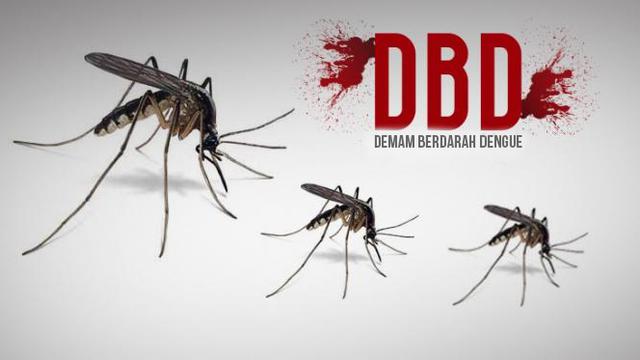 5 Meninggal, DBD dan Rabies Tinggi di Kota Bitung