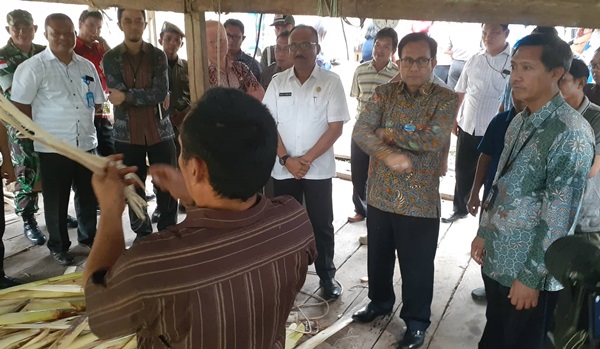 Pisang Abaca, Anugerah Tuhan bagi Talaud