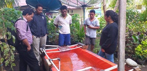 Budidaya Ikan Air Tawar, Program Pengabdian Polnustar untuk Warga Tariang Lama