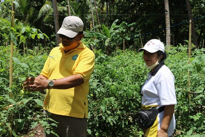 Webtorial: Di Tengah Pandemi, Bupati Kepulauan Sangihe Pantau Produktifitas Petani