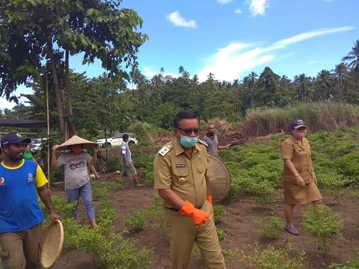 Wakil Wali Kota Bitung Kunjungi Petani