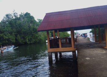 Bahowo, Hutan Mangrove dan Budaya Masyarakat