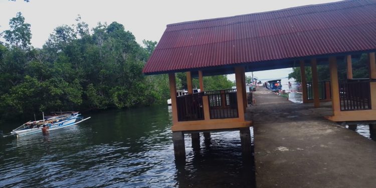 Bahowo, Hutan Mangrove dan Budaya Masyarakat