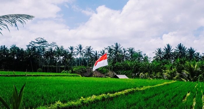 Gambar ilustrasi oleh StockSnap dari Pixabay