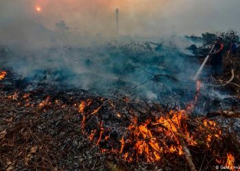 Cegah Kebakaran Hutan, Dishut Sulut Sosialisasi Penanganan