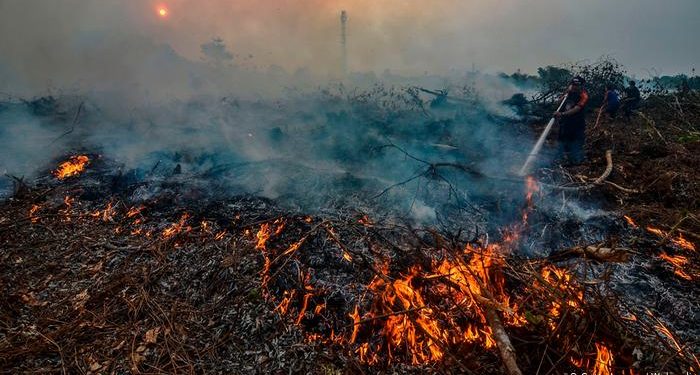 Cegah Kebakaran Hutan, Dishut Sulut Sosialisasi Penanganan