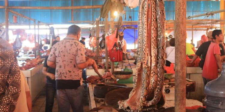 Perdagangan Satwa Liar Pasar Beriman
