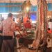 Perdagangan Satwa Liar Pasar Beriman