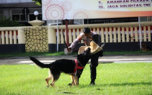 Salah satu personel Unit K-9 saat melatih kesiapan Anjing Pelacak. (foto: istimewa)