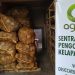 Kopra Putih, Masa Depan Petani Kelapa Kepulauan Sangihe