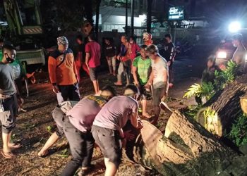 Personil Polda Sulut membersihkan pohon tumbang agar akses terbuka kembali