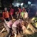 Personil Polda Sulut membersihkan pohon tumbang agar akses terbuka kembali