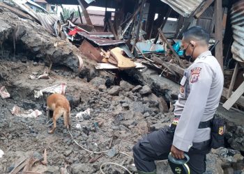 Anjing Pelacak Temukan Korban Tanah Longsor di Malalayang