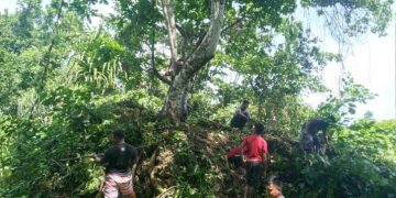 Komunitas Maadat’ta Beri Perhatian Khusus Budaya Lokal Talaud