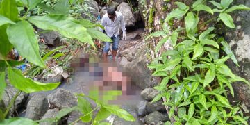 Mayat Lelaki Asal Akesimbeka Siau Ditemukan Tertelungkup di Kali Kering