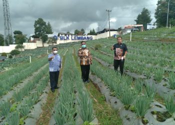 Upaya Pemda Talaud Hasilkan Tenaga Kerja Berkompeten