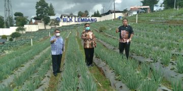 Upaya Pemda Talaud Hasilkan Tenaga Kerja Berkompeten