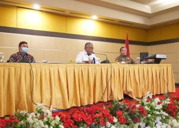 Talaud Berpotensi Jadi Pusat Pertumbuhan Ekonomi di Perbatasan Laut