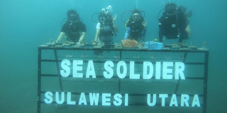 Transplantasi Karang di Pantai Malalayang
