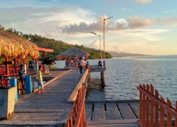 Destinasi wisata hutan mangrove di Desa Budo