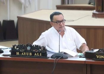 Ranperda Irigasi Final, Ini Kata Ayub Albugis
