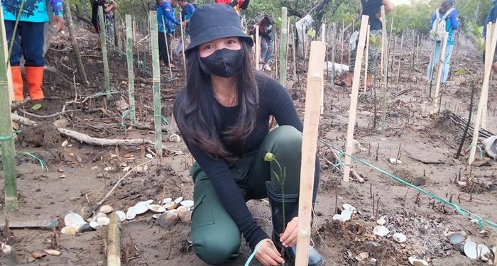 Ketua MPA Hyawata Polimdo, Arselia Milady Sondakh saat menanam Mangrove (Foto Meikel Barta1.com)
