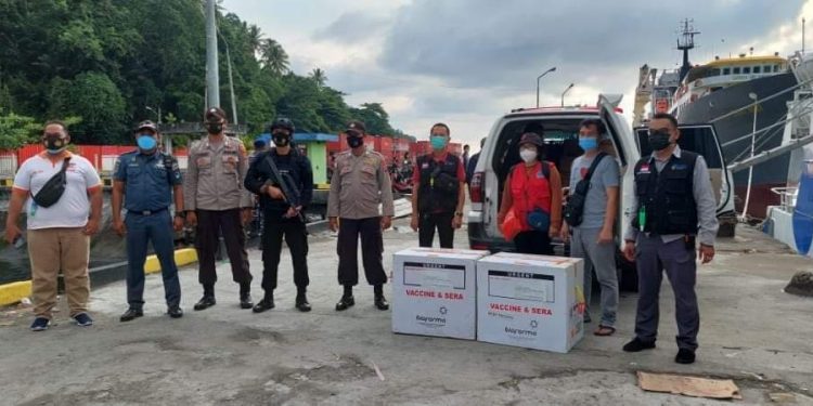 100 Vial Vaksin Moderna Perkuat Antibodi Nakes di Perbatasan Indonesia – Filipina