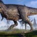 ILustrasi dinosaurus (gambar: istimewa)