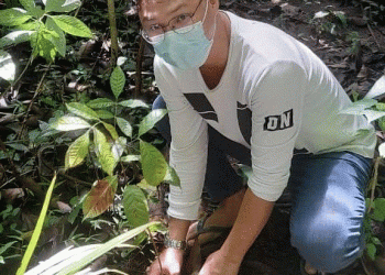 Somasi PT BML, Warga Sebut Penanaman Pohon Untuk Kepentingan Umum