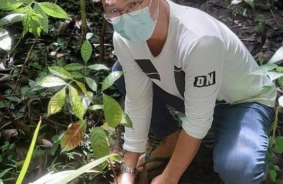 Somasi PT BML, Warga Sebut Penanaman Pohon Untuk Kepentingan Umum