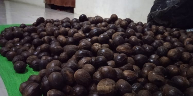 Harga Komoditi Pala Dongkrak Pendapatan Petani di Tengah Pandemi