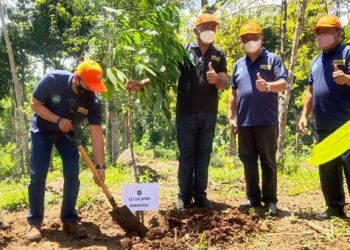 Kegiatan penanaman bibit pohon di Kecamatan Remboken (foto: Barta1)