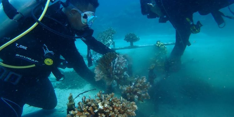 Kolaborasi Yapeka, Mudung Family dan Warga Tarabitan Monitoring Karang