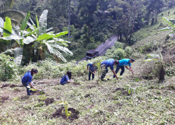 Cara PT Tirta Investama Airmadidi Peringati Hari Sejuta Pohon