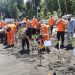 200 Pohon Mangrove Ditanam di Pantai Likupang