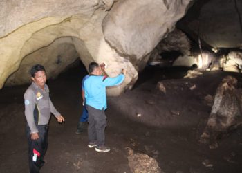 Tinjau Lokasi Goa, Camat Kabaruan ‘Diserang’ Kelelawar