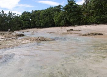 Salah satu Tiwud'da yang berada di bibir pantai Arangac'ca Melonguane