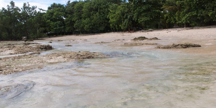 Salah satu Tiwud'da yang berada di bibir pantai Arangac'ca Melonguane