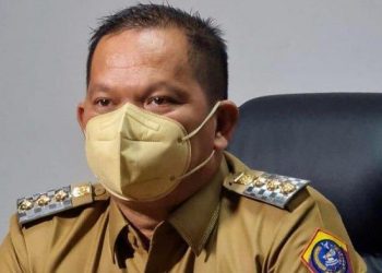 Bupati Kepulauan Talaud, dr Elly Engelbert Lasut