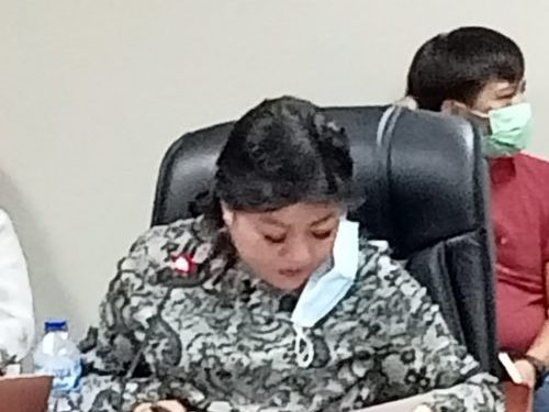 Anngota DPRD Sulawesi Utara, Sherly Tjanggulung