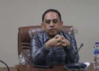 Anggota Fraksi Demokrat, Yusra Alhabsyi (Foto Setwan).