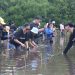 Seasoldier Tanami 500 Bibit Mangrove di Bunaken