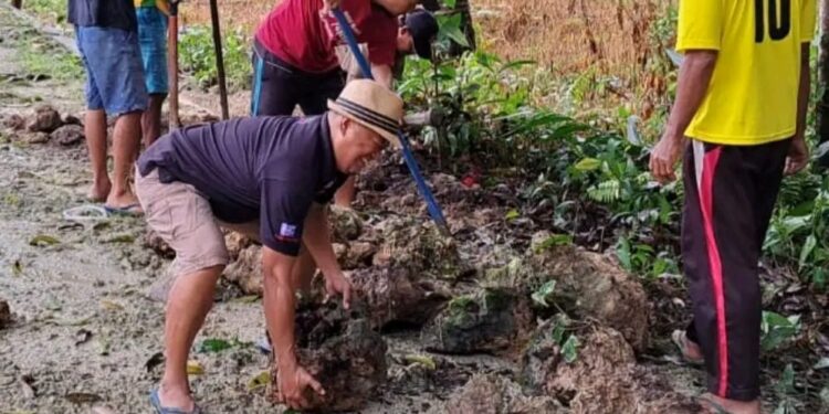 H. Ariyanto Paneo, S.Pd saat melakukan kerja bakti bersama jamaa Masjid Agung Jabal Rahma, Melonguane.