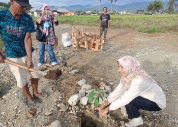 AMSI Gorontalo Tanam Pohon Untuk Ruang Terbuka Hijau