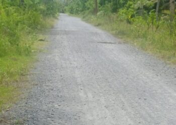 Kondisi jalan Laluhe - Dampulis yang sudah mengalami kerusakan.
