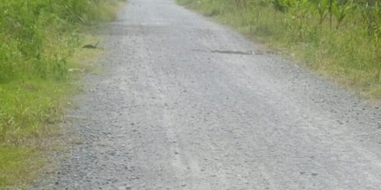 Kondisi jalan Laluhe - Dampulis yang sudah mengalami kerusakan.