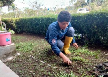 Cerita Perempuan Perawat Taman di DPRD Sulut