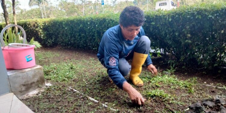 Cerita Perempuan Perawat Taman di DPRD Sulut