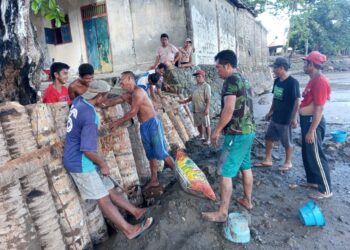 Pemerintah Desa Dapalan sedang bergotong royong membangun tanggul darurat bersama masyarakat.
