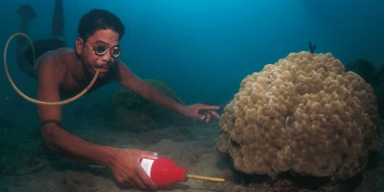 Praktek penangkapan ikan dengan menggunakan Potassium Sianida (Foto Istimewa).
